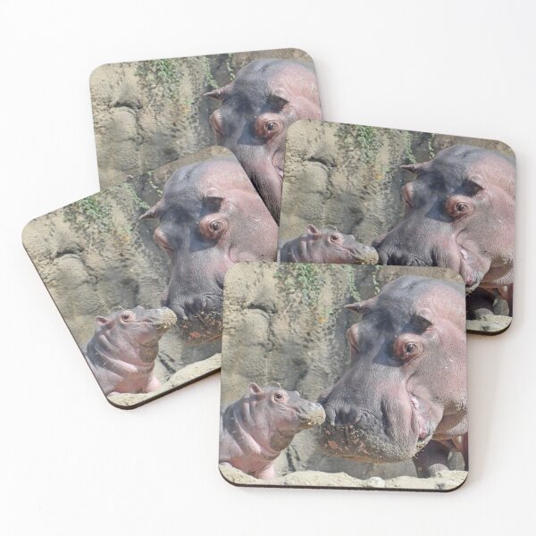 Item preview, Fritz and Tucker the Hippos at the Cincinnati Zoo designed and sold by Zoo and Nature Photography by Karie.