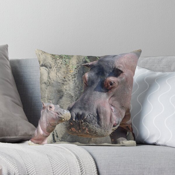 Item preview, Fritz and Tucker the Hippos at the Cincinnati Zoo designed and sold by Zoo and Nature Photography by Karie.