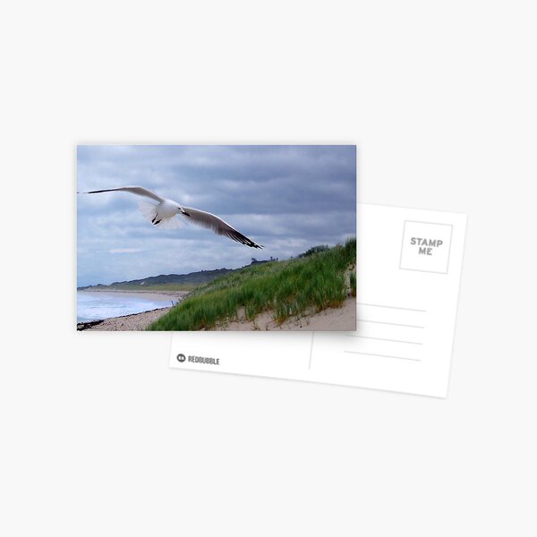 Item preview, Gull designed and sold by georgieboy98.