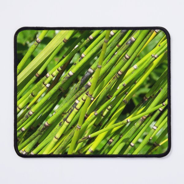 Item preview, Oblique Fossil designed and sold by okomedesign.
