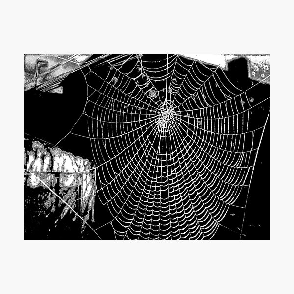 Aperçu de l'œuvre Spiders Web 3 créée et vendue par karenkirkham.
