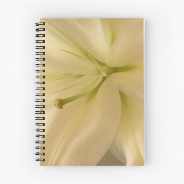 Item preview, Gentle  designed and sold by Manitarka.