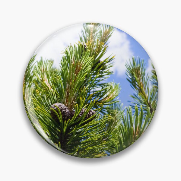 Item preview, Pinecones designed and sold by Jay Heida.