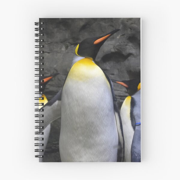 Item preview, King Penguins at the Cincinnati Zoo designed and sold by Zoo and Nature Photography by Karie.