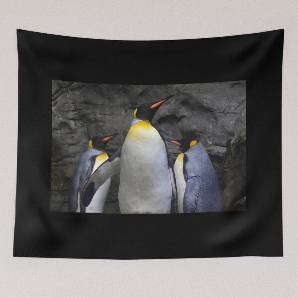 Item preview, King Penguins at the Cincinnati Zoo designed and sold by Zoo and Nature Photography by Karie.