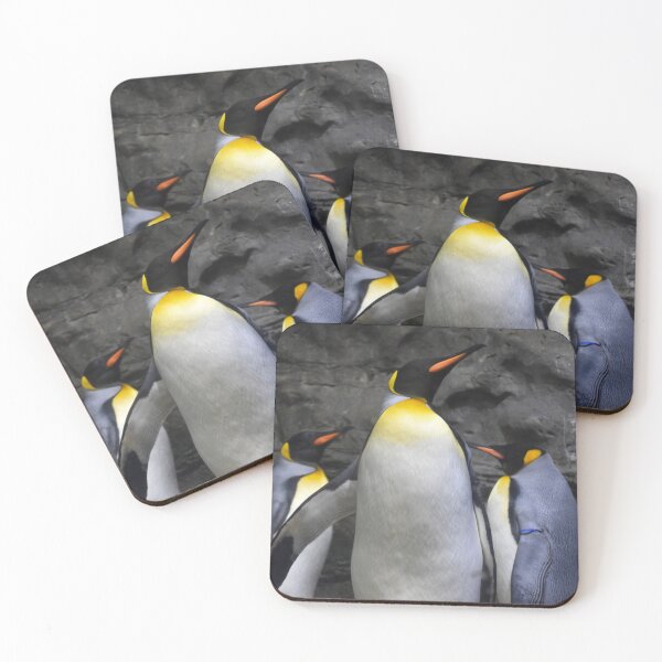 Item preview, King Penguins at the Cincinnati Zoo designed and sold by Zoo and Nature Photography by Karie.