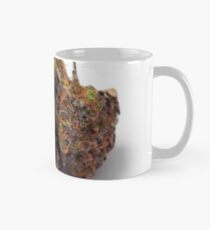 Gelato Mug
