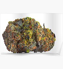 Gelato Poster