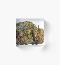 Gelato Acrylic Block