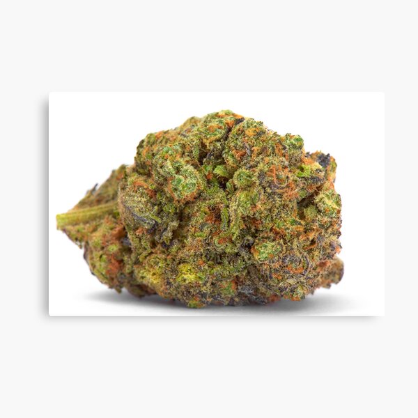 Gelato Canvas Print