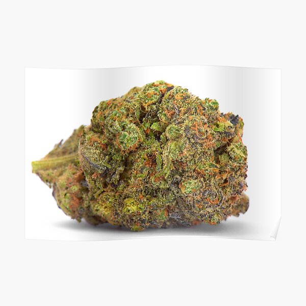 Gelato Poster
