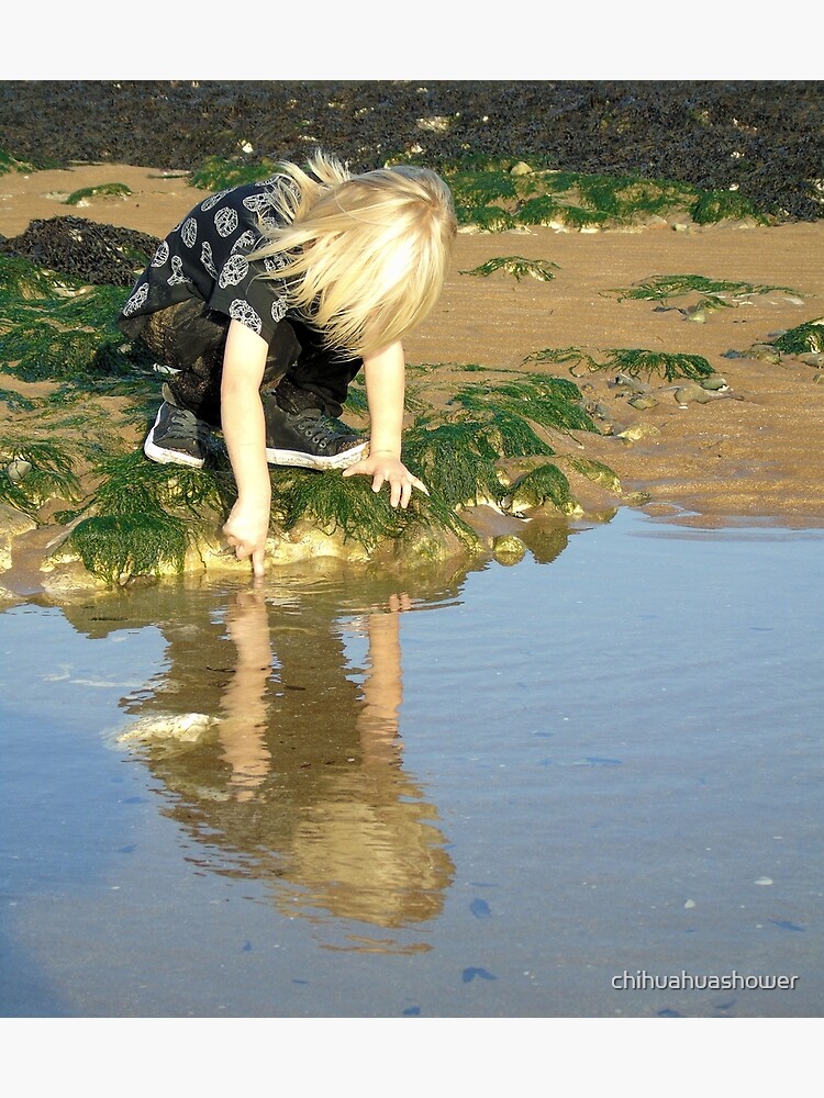 Rock pools by chihuahuashower