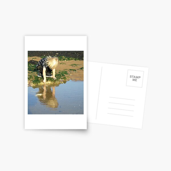 Rock pools Postcard