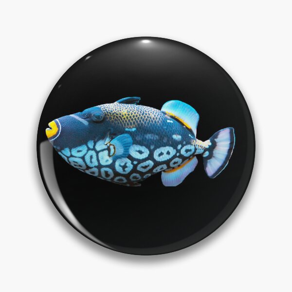 Item preview, Clown Triggerfish designed and sold by killies.