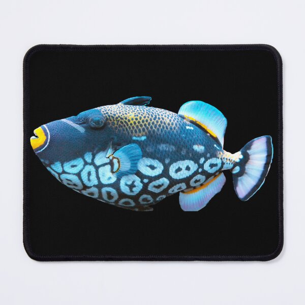 Item preview, Clown Triggerfish designed and sold by killies.