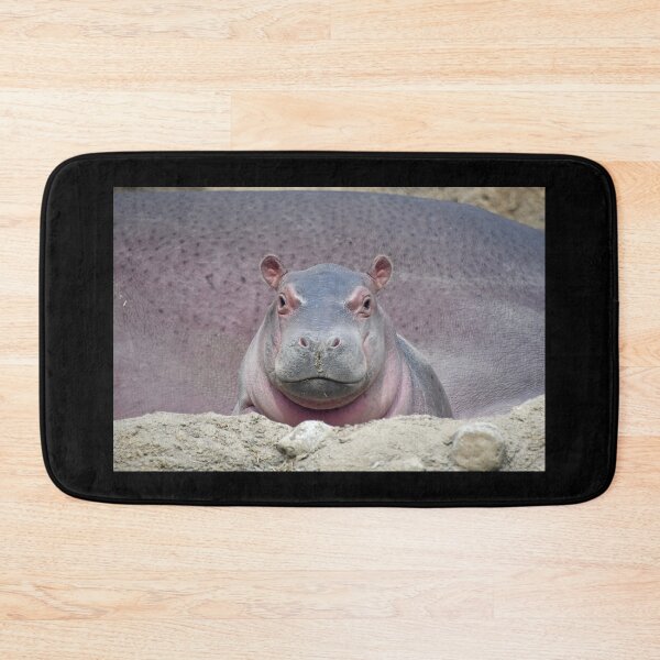 Item preview, Baby Hippo Fritz at the Cincinnati Zoo designed and sold by Zoo and Nature Photography by Karie.