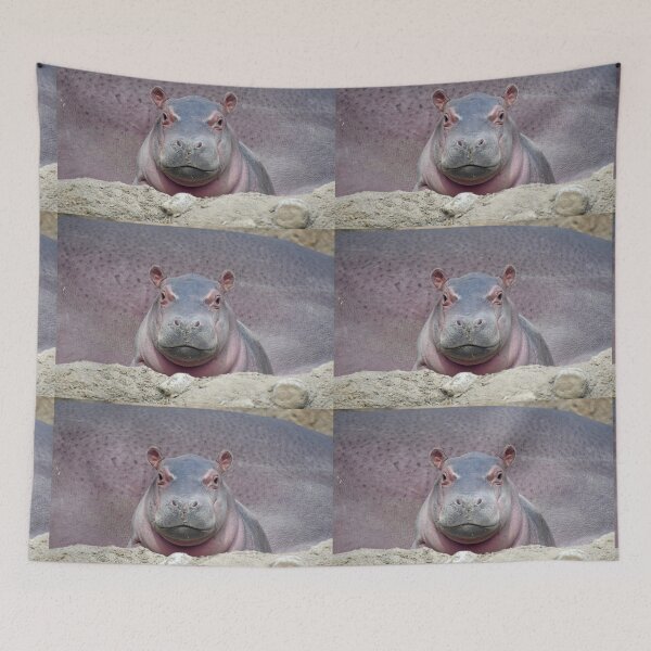 Item preview, Baby Hippo Fritz at the Cincinnati Zoo designed and sold by Zoo and Nature Photography by Karie.