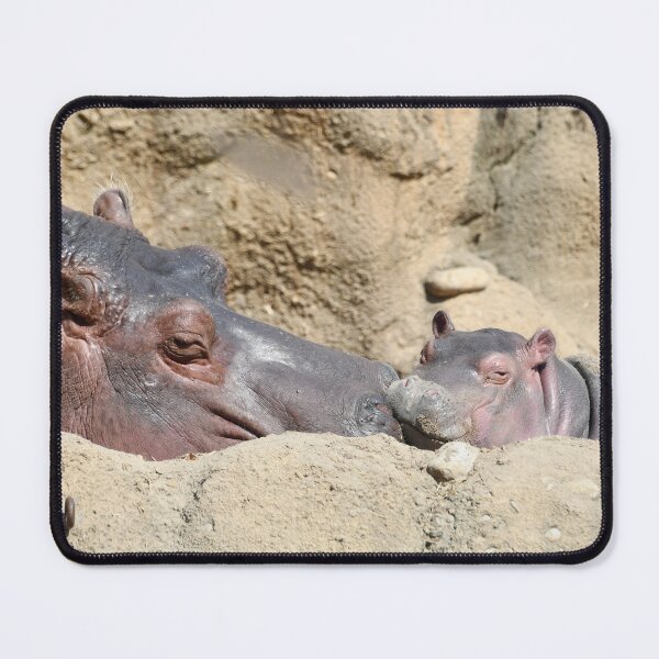 Item preview, Hippos Bibi and Baby Fritz at the Cincinnati Zoo designed and sold by Zoo and Nature Photography by Karie.