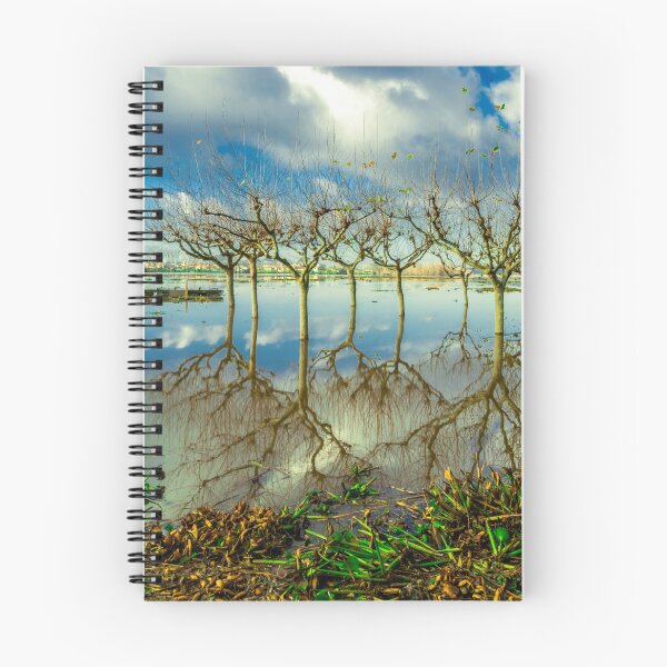 Item preview, Lake Pateira designed and sold by photosmartins.