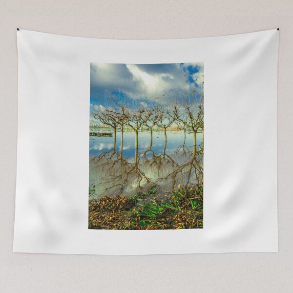 Item preview, Lake Pateira designed and sold by photosmartins.