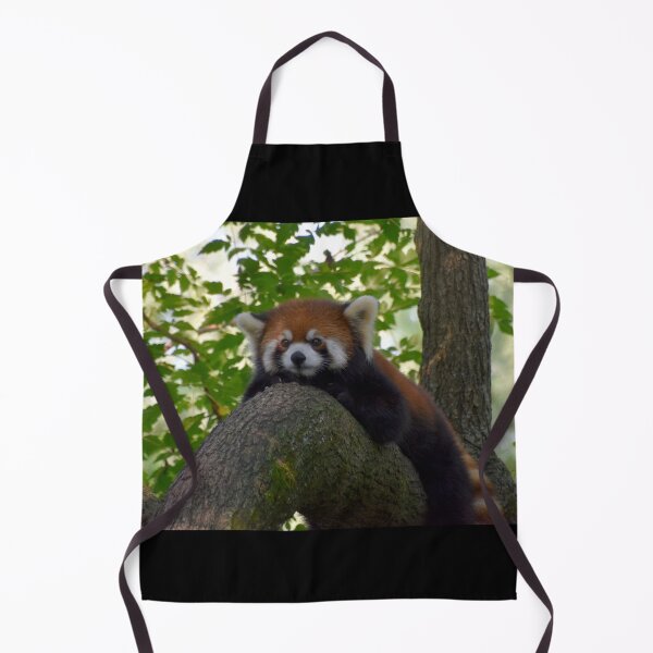 Item preview, Red Panda at the Cincinnati Zoo designed and sold by Zoo and Nature Photography by Karie.