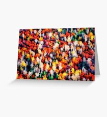 Autumn colors Greeting Card
