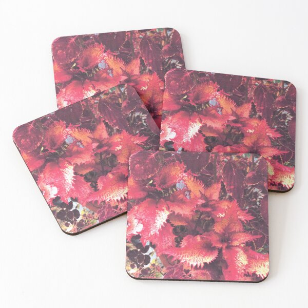 Item preview, COLEUS EXPLOSION  designed and sold by DAVID Liberty.