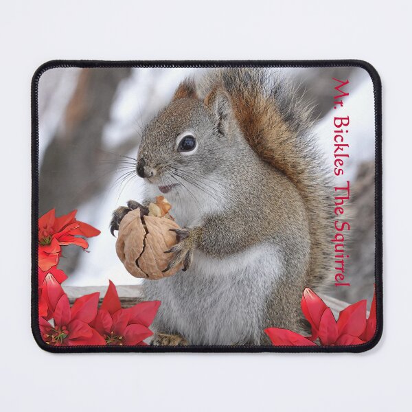 Item preview, Pillows and totes Mr. Bickles The Squirrel style! designed and sold by PrueCr.
