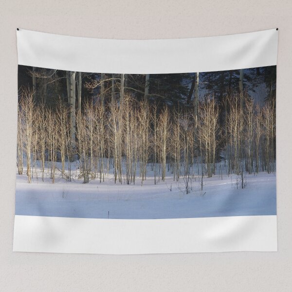 Item preview, Winter Sunset On Aspen designed and sold by Gary Benson.