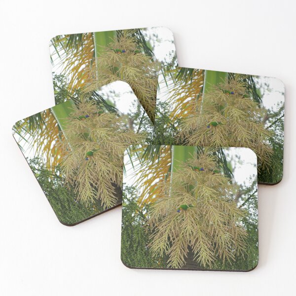 Item preview, Wild Rainbow Lorikeets Feeding Frenzy ~ Innisfail, FNQ, AU. designed and sold by Kerryn Madsen-Pietsch.