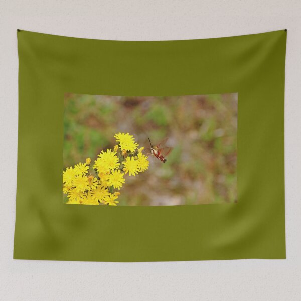 Item preview, Clearwing Moth And Hawkweed designed and sold by Debbie Oppermann.