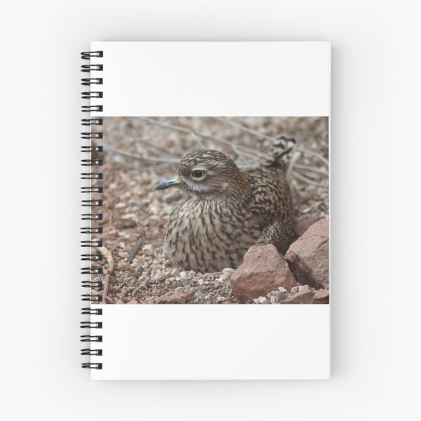Item preview, Roadrunner  designed and sold by MarieDarcy97.