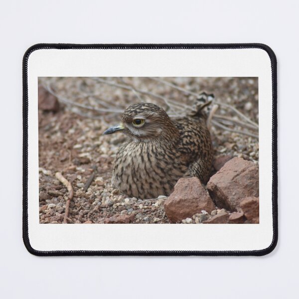 Item preview, Roadrunner  designed and sold by MarieDarcy97.