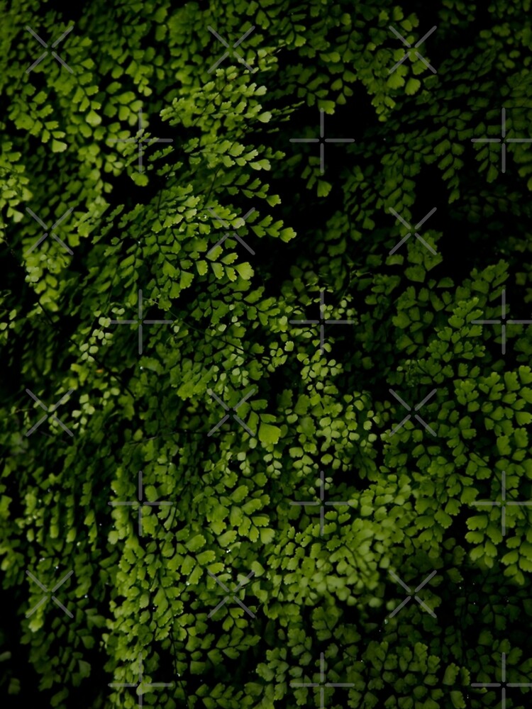 Small leaves. by VanGalt