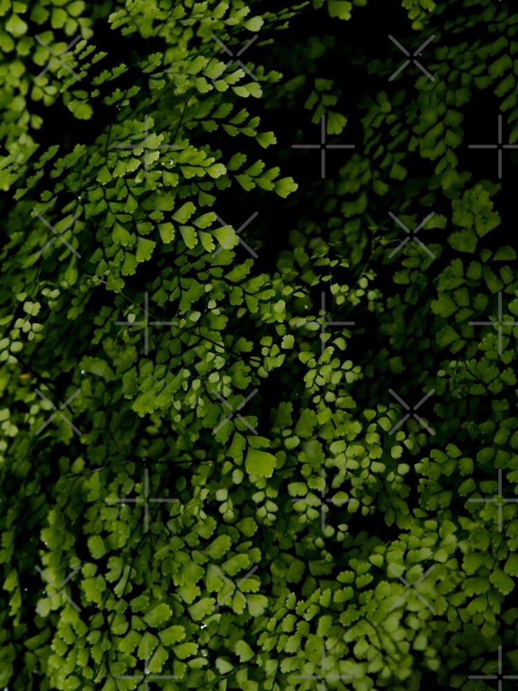 Small leaves. by VanGalt