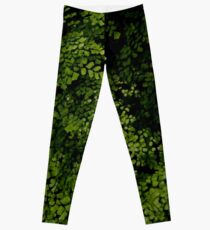 Small leaves. Leggings