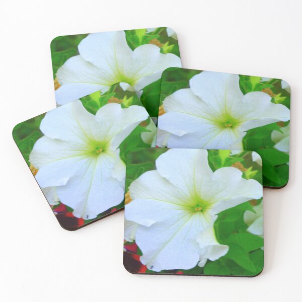 Item preview, White Petunia flower  designed and sold by ginnymac.