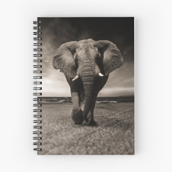 Item preview, black and white wild elephant designed and sold by TheVIP.