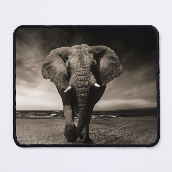 Item preview, black and white wild elephant designed and sold by TheVIP.