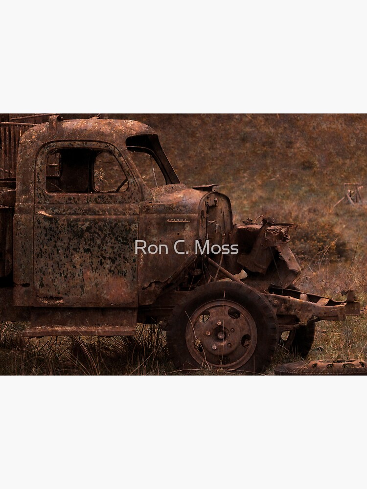 Rust and Rain by ronmoss