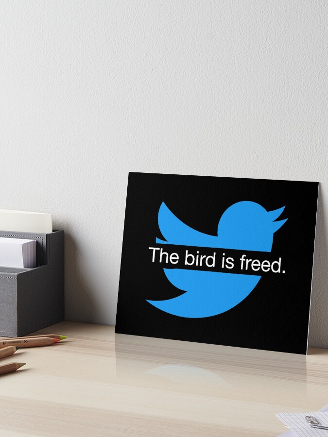 El pájaro está liberado Divertido Elon Musk Tweet Citar Twitter Meme |  Lámina rígida