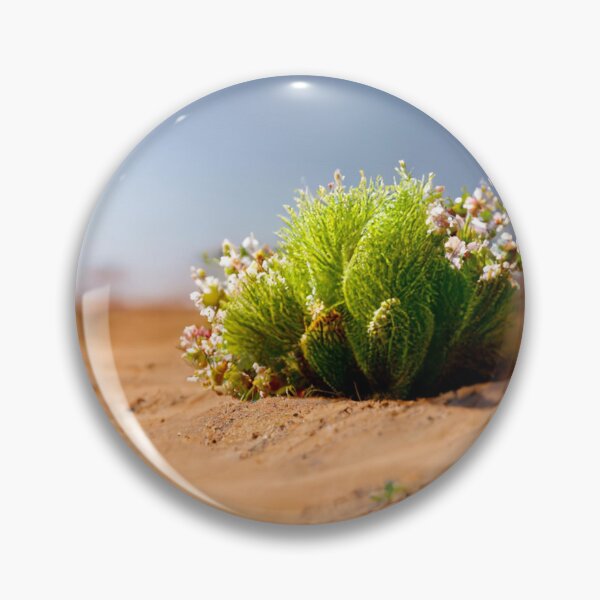 Item preview, Green cactus blooming in the desert designed and sold by Paradigme.