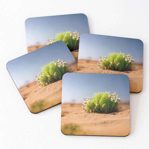 Item preview, Green cactus blooming in the desert designed and sold by Paradigme.