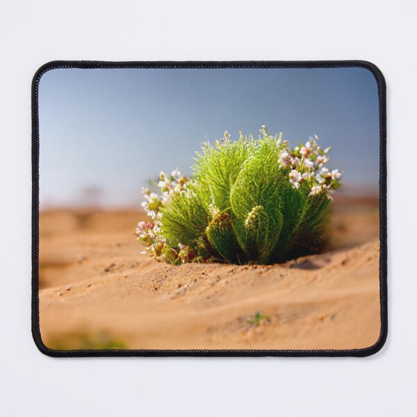Item preview, Green cactus blooming in the desert designed and sold by Paradigme.