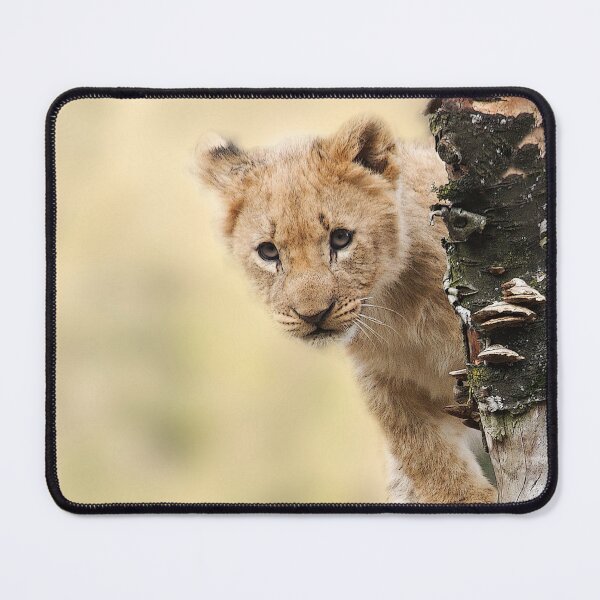 Item preview, lion cub cat wild  designed and sold by TheVIP.