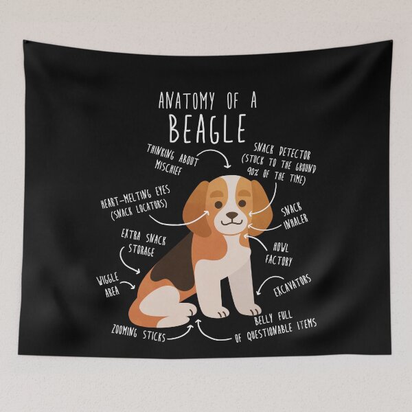 Item preview, Beagle Dog Anatomy designed and sold by Clara Hollins.