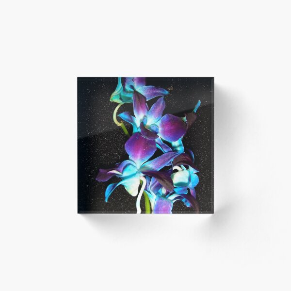 Blue Orchids Acrylic Block