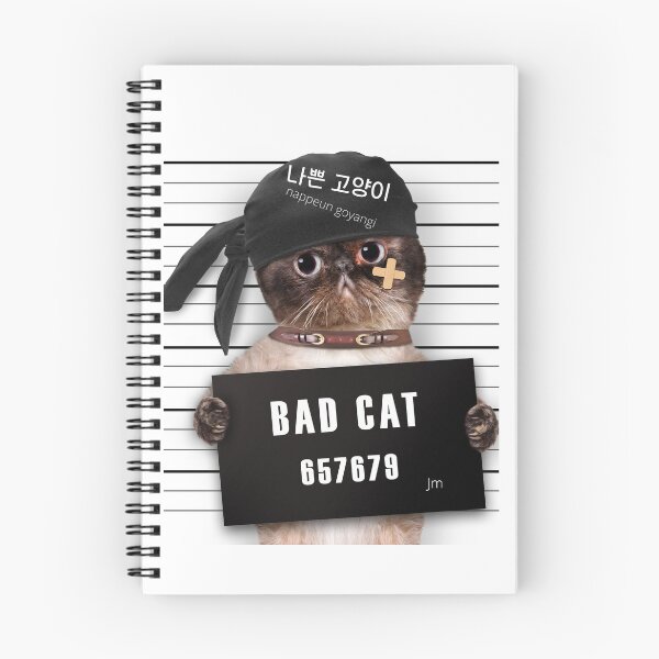 Item preview, JM's Korean Series 48_bad cat, 나쁜 고양이 designed and sold by JM Language Service.