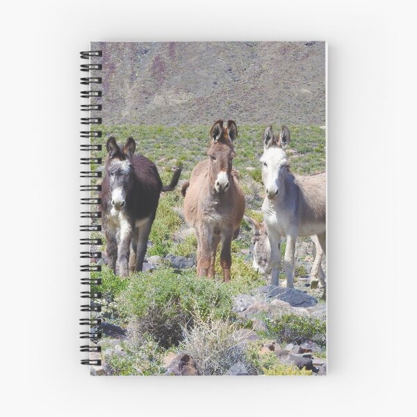 Item preview, Wild burros, donkeys, wildlife, Nevada, Treasures of Marietta designed and sold by Sandra O'Toole.