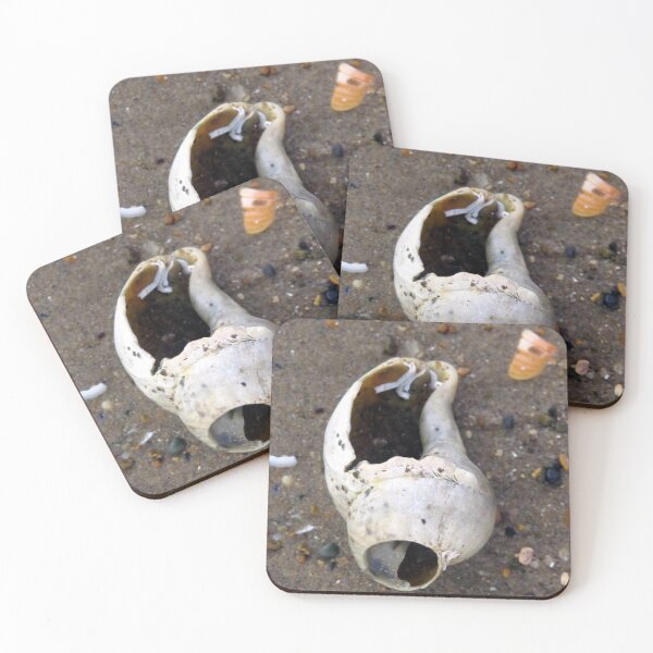 Item preview, shell designed and sold by KathleenDawson.
